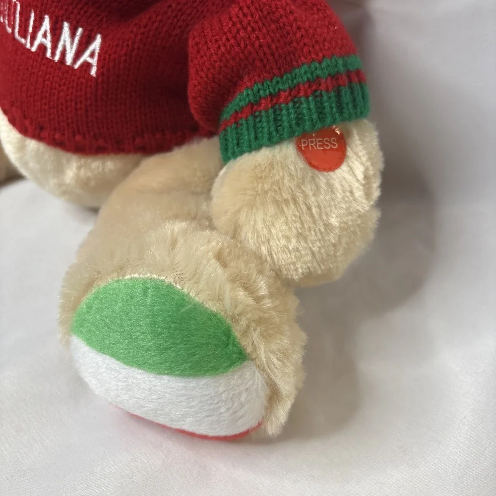 Giovanni & Giuliana Italian Speaking Singing Plush‎ Bears 11